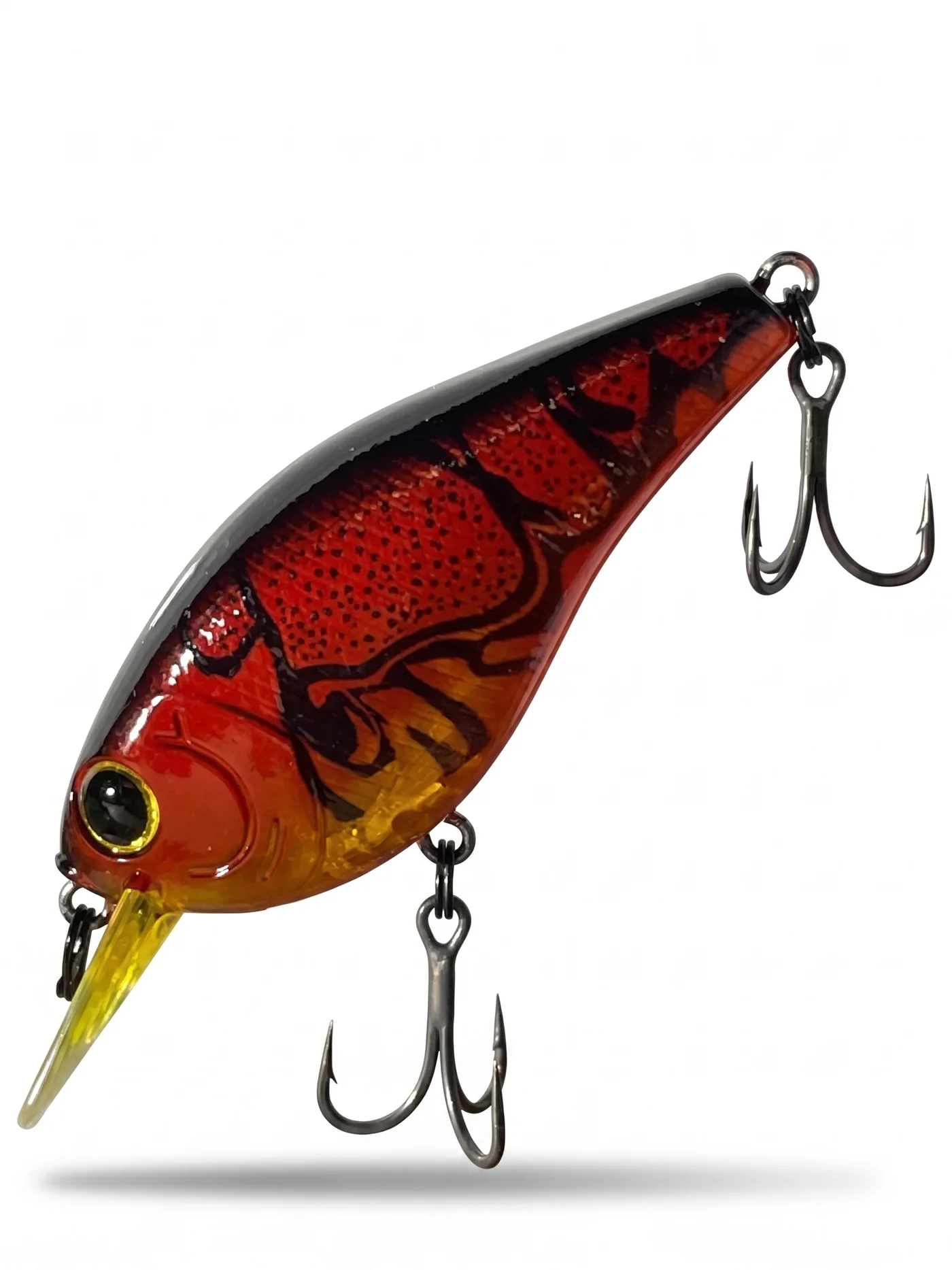 Nasty Lure Company bait 10