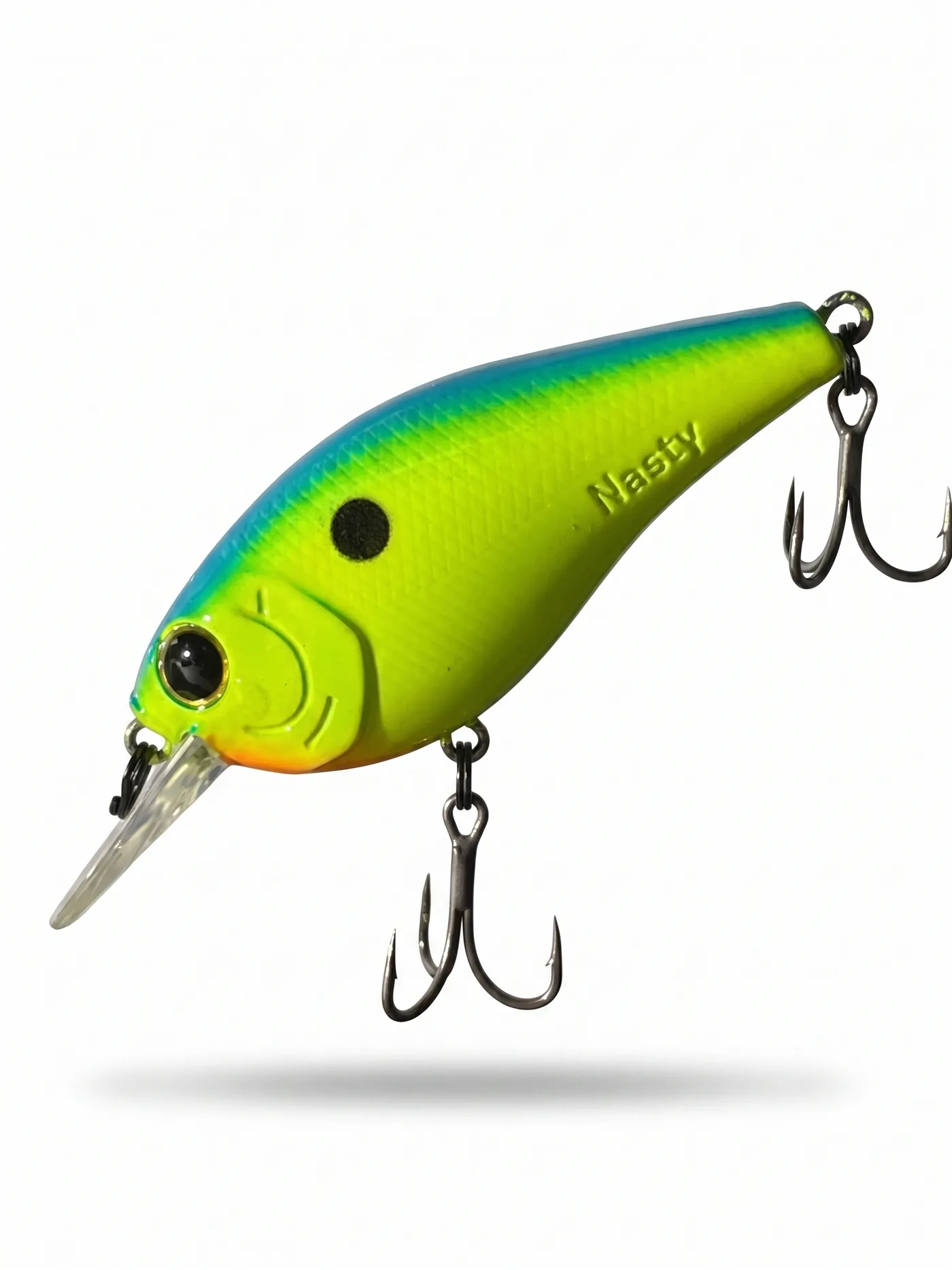 Nasty Lure Company bait 14