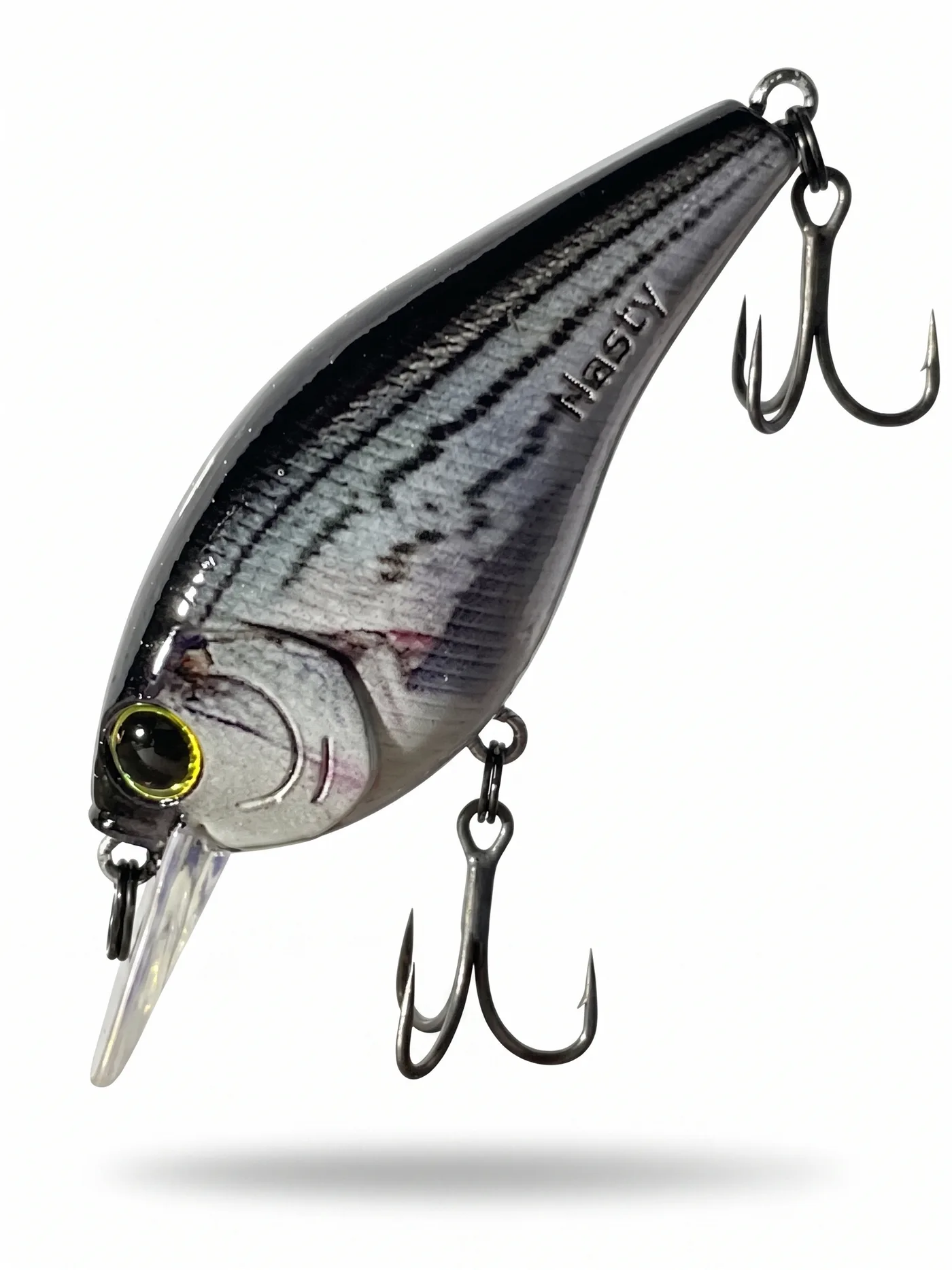 Nasty Lure Company bait 17